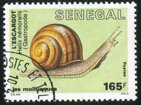 SENEGAL - CIRCA 1988: stamp printed by Senegal, shows Snail, circa 1988の写真素材