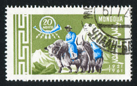 MONGOLIA - CIRCA 1961: stamp printed by Mongolia, shows Postman with yaks, circa 1961