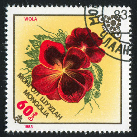 MONGOLIA - CIRCA 1983: stamp printed by Mongolia, shows  flower, Violets, circa 1983の写真素材