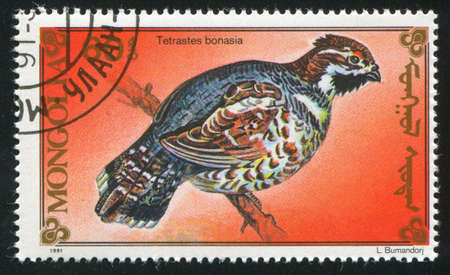 MONGOLIA - CIRCA 1991: stamp printed by Mongolia, shows  grouse, circa 1991の写真素材