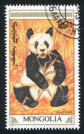 MONGOLIA - CIRCA 1990: stamp printed by Mongolia, shows a giant panda, circa 1990の写真素材