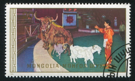 MONGOLIA - CIRCA 1986: stamp printed by Mongolia, shows trick with animals, circa 1986の写真素材