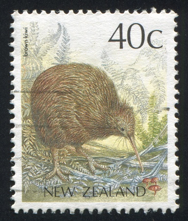 NEW ZEALAND - CIRCA 1988: stamp printed by New Zealand, shows Brown kiwi, circa 1988の写真素材