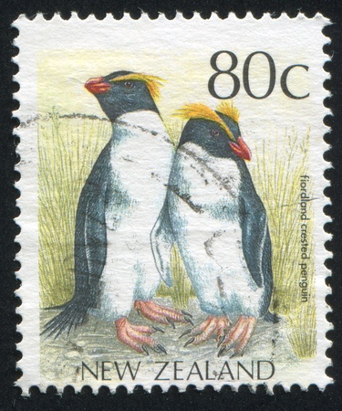 NEW ZEALAND - CIRCA 1988: stamp printed by New Zealand, shows Fiordland crested penguin, circa 1988の写真素材