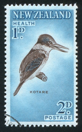 NEW ZEALAND â CIRCA 1960: stamp printed by New Zealand, shows bird kingfisher kotare, circa 1960の写真素材