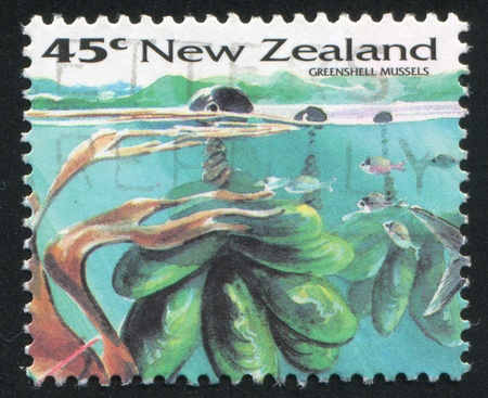 NEW ZEALAND - CIRCA 1993: stamp printed by New Zealand, shows Greenshell mussels, circa 1993のeditorial素材