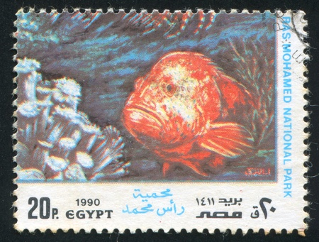 EGYPT - CIRCA 1990: stamp printed by Egypt, shows tropical fish and coral reefs, circa 1990のeditorial素材