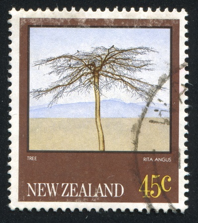 NEW ZEALAND - CIRCA 1983: stamp printed by New Zealand, shows Tree, Greymouth, by Rita Angus (1908-1970), circa 1983のeditorial素材