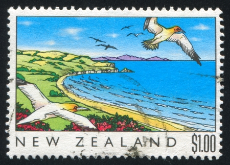 NEW ZEALAND - CIRCA 1989: stamp printed by New Zealand, shows The Sea, Gulls over coast, circa 1989の写真素材