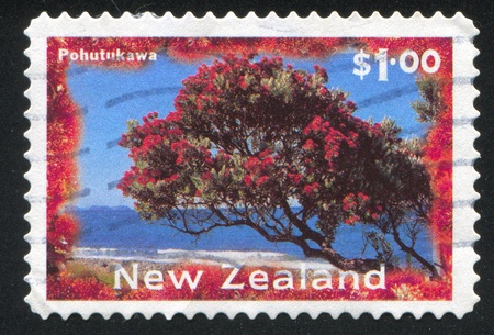 NEW ZEALAND - CIRCA 1996: stamp printed by New Zealand, shows Pohutukawa tree, circa 1996の写真素材