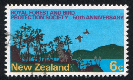 NEW ZEALAND - CIRCA 1973: stamp printed by New Zealand, shows Forest, Birds and Lake, 50th anniversary of Royal Forest and Bird Protection Society, circa 1973の写真素材