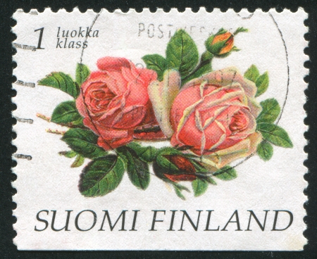 FINLAND - CIRCA 1997:  stamp printed by Finland, shows rose flowers, circa 1997の写真素材