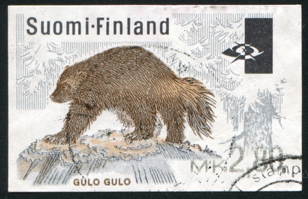FINLAND - CIRCA 1983: stamp printed by Finland, shows Wolverine , circa 1983の写真素材