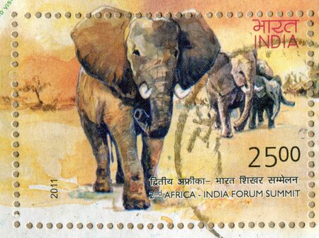 INDIA - CIRCA 2011: stamp printed by India, shows  elephant, circa 2011のeditorial素材