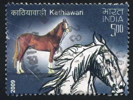 INDIA - CIRCA 2009: stamp printed by India, shows  horse, circa 2009のeditorial素材