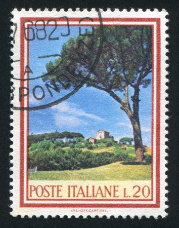 ITALY - CIRCA 1966: stamp printed by Italy, shows Tree, Umbrella Pine, circa 1966のeditorial素材