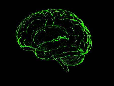 3d human brain.