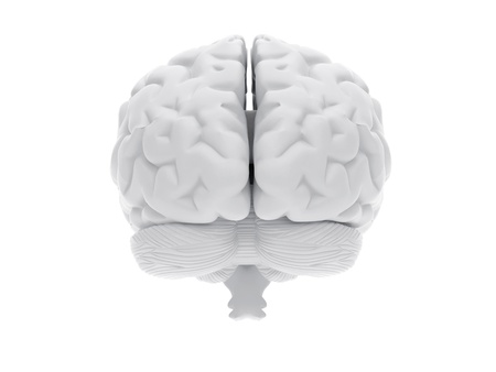 High resolution image. 3d rendered illustration. 3d human brain.