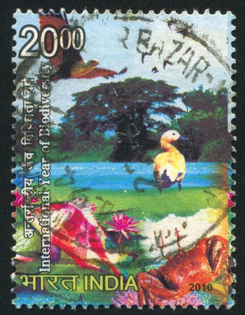 INDIA - CIRCA 2010: stamp printed by India, shows duck, fish, crab, eagle circa 2010のeditorial素材