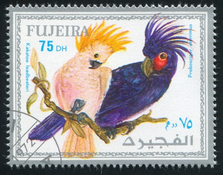 FUJEIRA - CIRCA 1972: stamp printed by Fujeira, shows tropical bird, parrot, circa 1972のeditorial素材