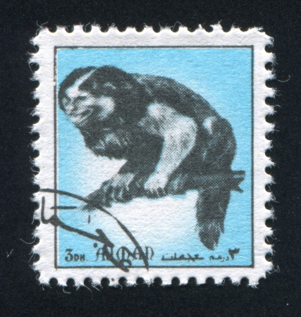 AJMAN - CIRCA 1972: stamp printed by Ajman, shows monkey, circa 1972のeditorial素材