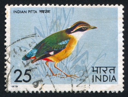 INDIA - CIRCA 1975: stamp printed by India, shows Bluewinged Pitta, circa 1975のeditorial素材