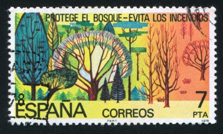 SPAIN - CIRCA 1978: stamp printed by Spain, shows Forest and Forest Destroyed by Fire, circa 1978のeditorial素材
