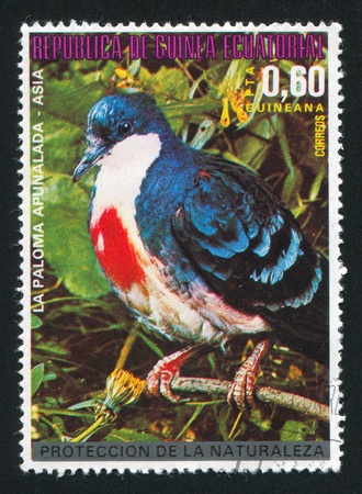 EQUATORIAL GUINEA - CIRCA 1980:  stamp printed by Equatorial Guinea, shows tropical bird, circa 1980.のeditorial素材