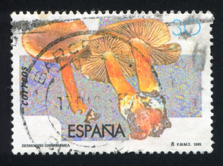 SPAIN - CIRCA 1995: stamp printed by Spain, shows Mushrooms, circa 1995のeditorial素材