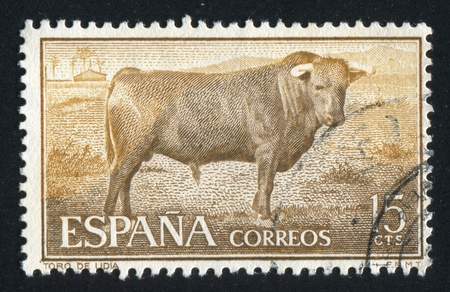 SPAIN - CIRCA 1953: stamp printed by Spain, shows bull, circa 1953のeditorial素材