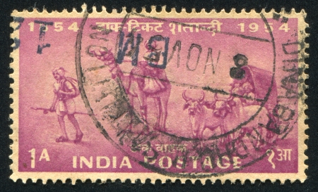 INDIA - CIRCA 1954: stamp printed by India, shows bullocks and camel, circa 1954のeditorial素材