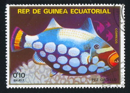 EQUATORIAL GUINEA - CIRCA 1973: stamp printed by Equatorial Guinea, shows Triggerfish, circa 1973のeditorial素材
