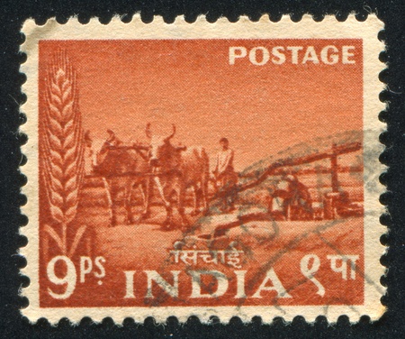 INDIA - CIRCA 1955: stamp printed by India, shows Bullock irrigation pump, ear, woman, circa 1955のeditorial素材