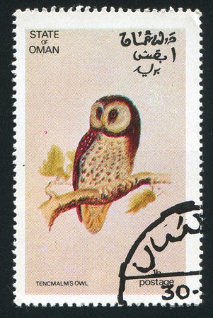 OMAN - CIRCA 1972: stamp printed by Oman, shows Tencmalm Owl, circa 1972のeditorial素材