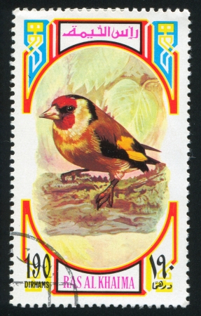 RAS AL KHAIMA - CIRCA 1972: stamp printed by Ras al Khaima, shows European Goldfinch, circa 1972のeditorial素材