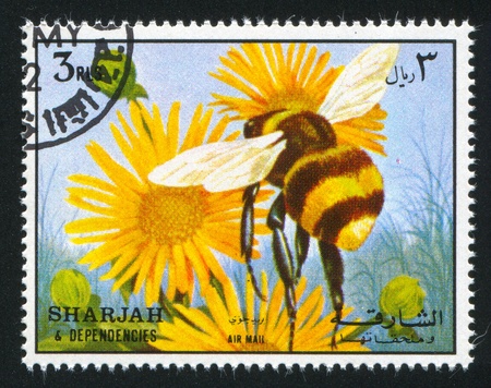 SHARJAH AND DEPENDENCIES - CIRCA 1972: stamp printed by Sharjah and Dependencies, shows a Bee, circa 1972のeditorial素材