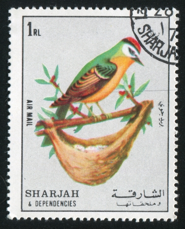 SHARJAH AND DEPENDENCIES - CIRCA 1972: stamp printed by Sharjah and Dependencies, shows Bird and Nest, circa 1972のeditorial素材