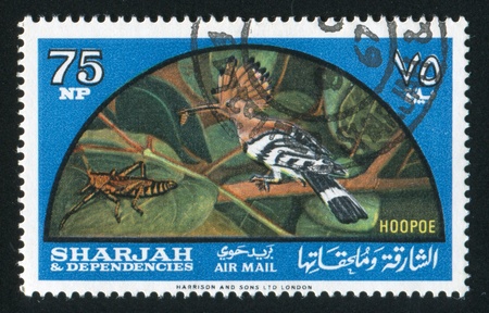 SHARJAH AND DEPENDENCIES - CIRCA 1972: stamp printed by Sharjah and Dependencies, shows Hoopoe, circa 1972のeditorial素材