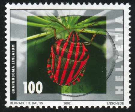 SWITZERLAND - CIRCA 2002: stamp printed by Switzerland, shows Graphosoma lineatum, circa 2002のeditorial素材