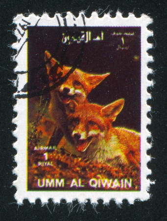 UMM AL-QUWAIN - CIRCA 1972: stamp printed by Umm al-Quwain, shows Foxes, circa 1972のeditorial素材
