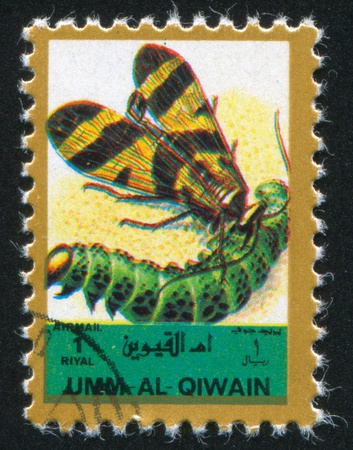 UMM AL-QUWAIN - CIRCA 1972: stamp printed by Umm al-Quwain, shows Butterfly and Larva, circa 1972のeditorial素材