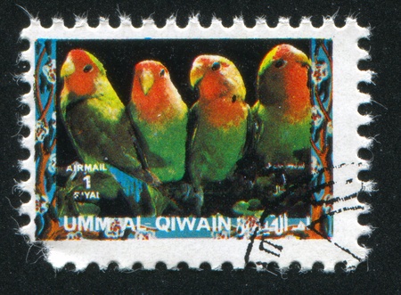 UMM AL-QUWAIN - CIRCA 1972: stamp printed by Umm al-Quwain, shows Parrots, circa 1972のeditorial素材