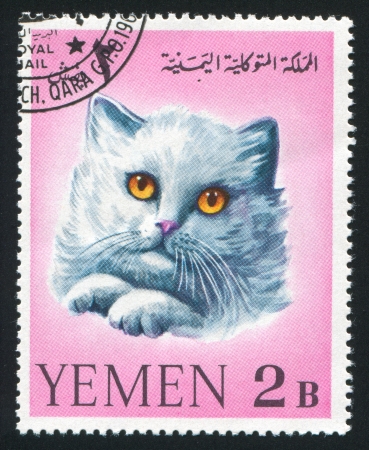 YEMEN - CIRCA 1972: stamp printed by Yemen, shows cat, circa 1972のeditorial素材