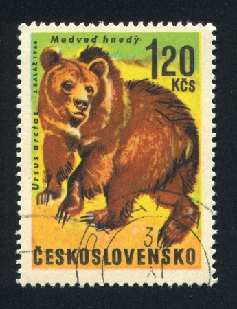 CZECHOSLOVAKIA - CIRCA 1966: stamp printed by Czechoslovakia, shows Brown bear, circa 1966のeditorial素材