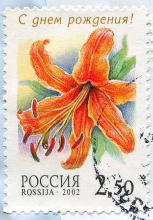 RUSSIA - CIRCA 2002: stamp printed by Russia, shows Lily, circa 2002のeditorial素材