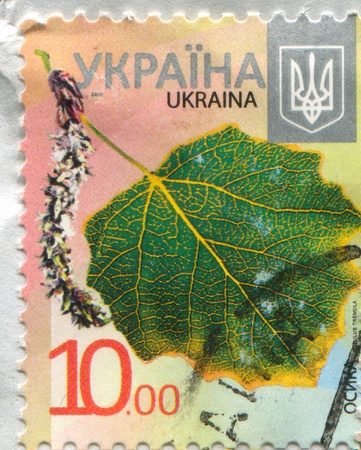 UKRAINE - CIRCA 2012: stamp printed by Ukraine, shows Aspen, circa 2012のeditorial素材