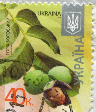 UKRAINE - CIRCA 2012: stamp printed by Ukraine, shows Hazelnut, circa 2012のeditorial素材