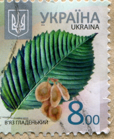 UKRAINE - CIRCA 2012: stamp printed by Ukraine, shows Elm, circa 2012のeditorial素材