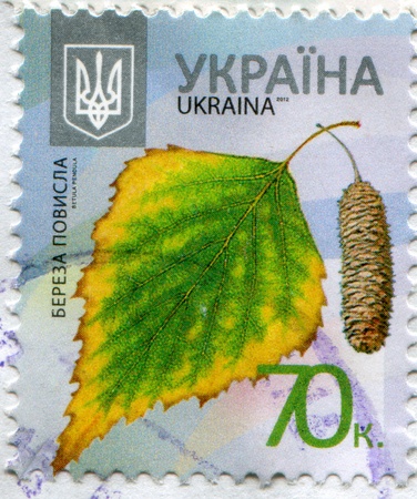 UKRAINE - CIRCA 2012: stamp printed by Ukraine, shows Birch, circa 2012のeditorial素材