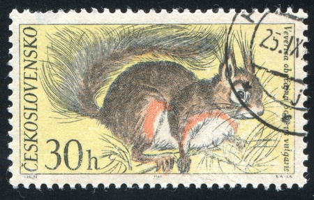 CZECHOSLOVAKIA - CIRCA 1967: stamp printed by Czechoslovakia, shows Red Squirrel, circa 1967のeditorial素材